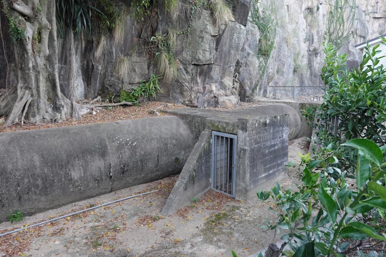 【ブリスベン】ハワードスミスワーフに残る防空壕(AIR-RAID SHELTERS)