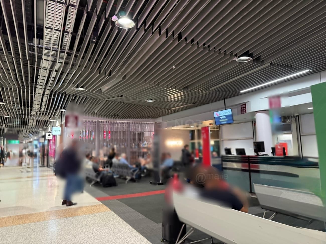 【Qantas Airline】カンタス航空搭乗記 ブリスベン空港からシドニー空港へ