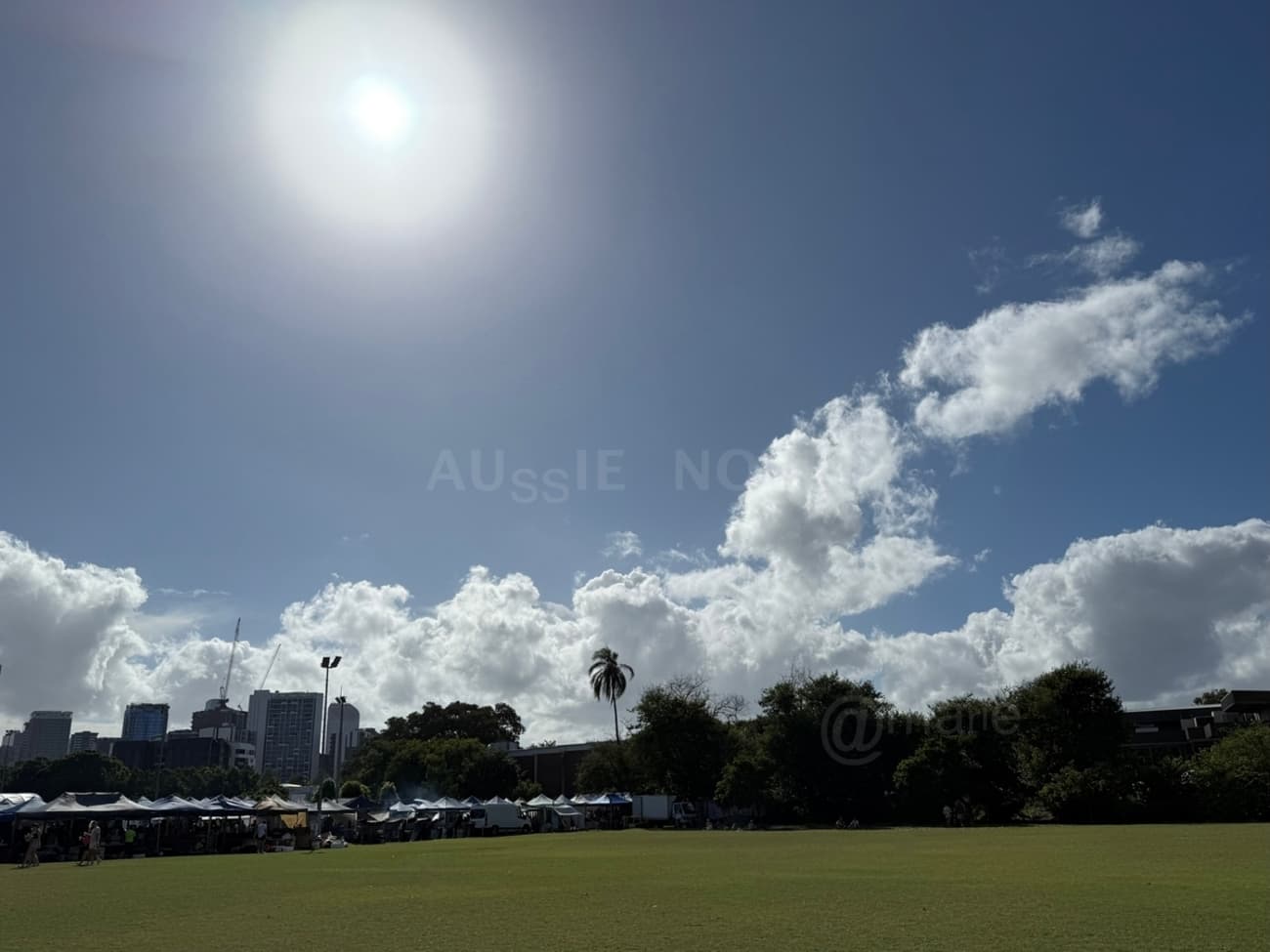 【ブリスベン】秋のウエストエンドマーケット@Davies Park